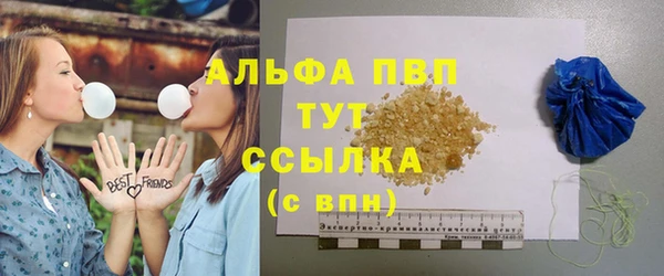 стафф Алексин