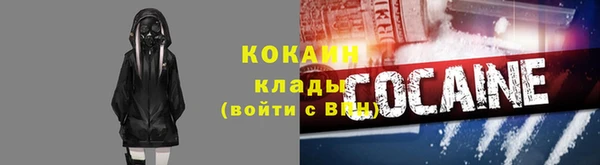 стафф Алексин